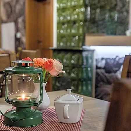 Bed and Breakfast Pod Miedza 200 M Do Term Bukowina Tatrzańska
